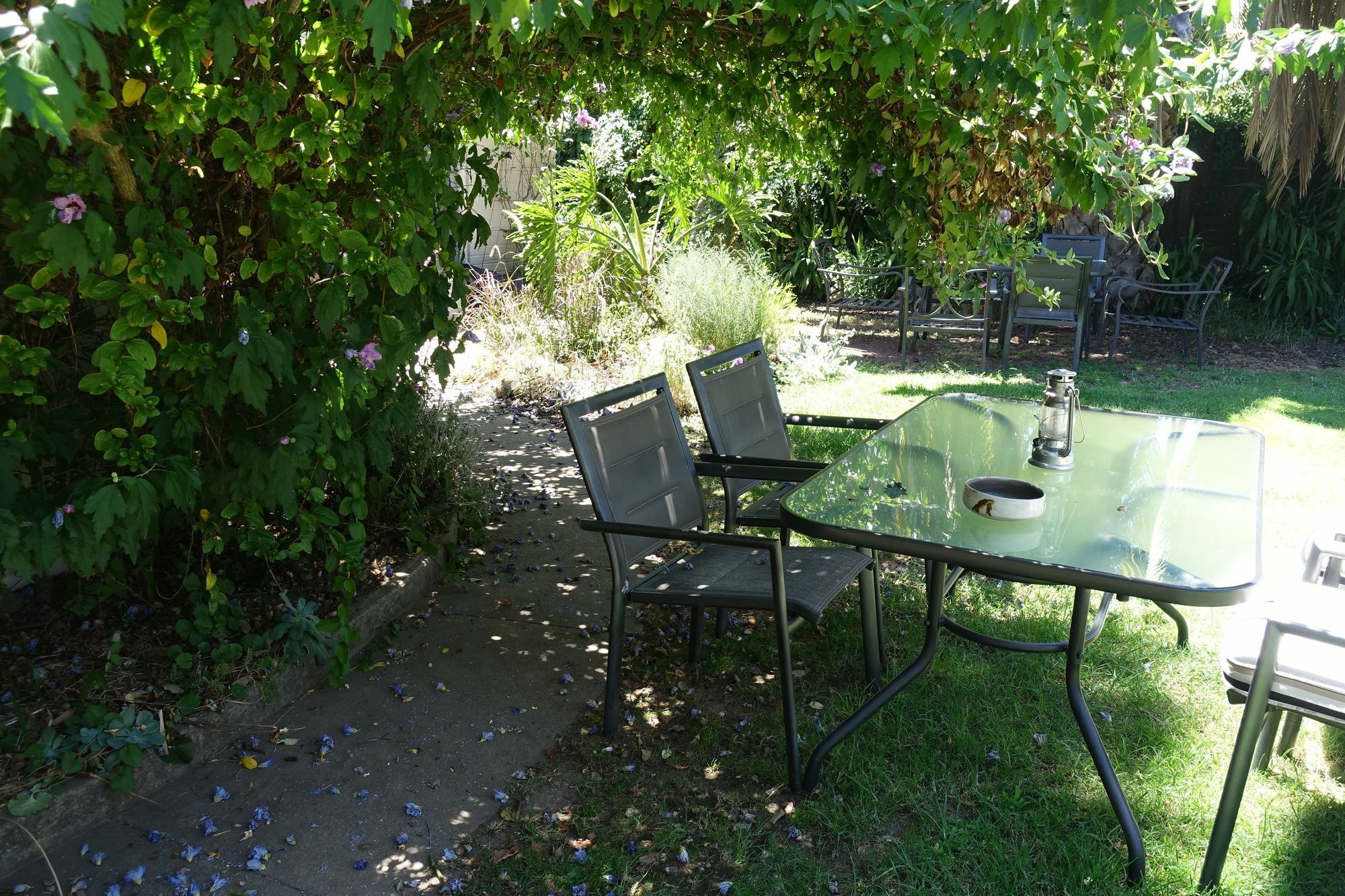 Benson House & Benson Lodge Benalla Εξωτερικό φωτογραφία